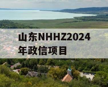 山东NHHZ2024年政信项目