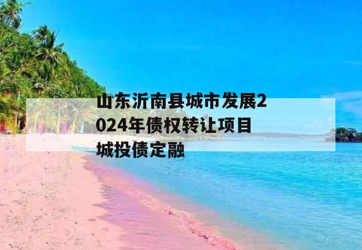 山东沂南县城市发展2024年债权转让项目城投债定融