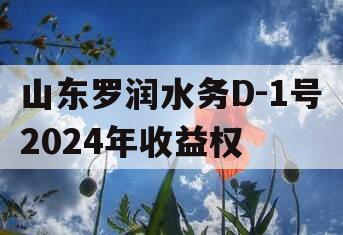 山东罗润水务D-1号2024年收益权
