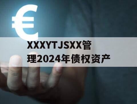 XXXYTJSXX管理2024年债权资产