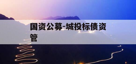 国资公募-城投标债资管