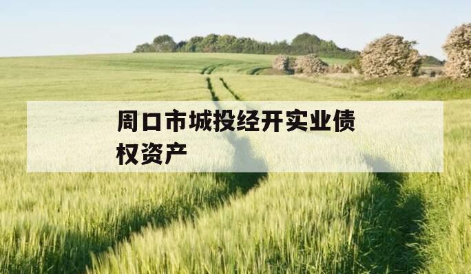 周口市城投经开实业债权资产
