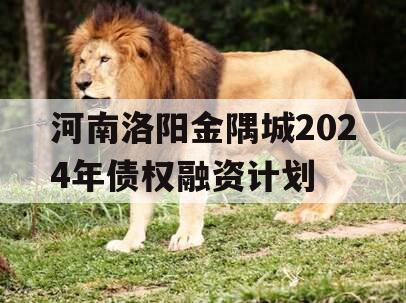 河南洛阳金隅城2024年债权融资计划