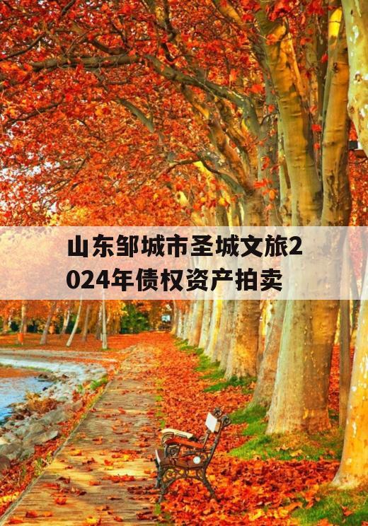 山东邹城市圣城文旅2024年债权资产拍卖