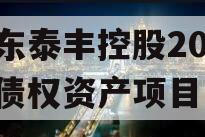 山东泰丰控股2024年债权资产项目