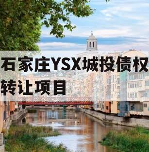 石家庄YSX城投债权转让项目