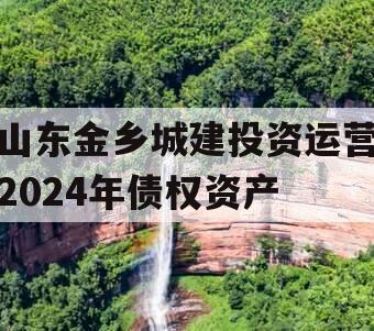 山东金乡城建投资运营2024年债权资产