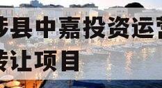 武陟县中嘉投资运营债权转让项目