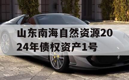 山东南海自然资源2024年债权资产1号