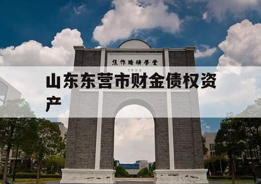 山东东营市财金债权资产
