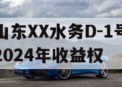 山东XX水务D-1号2024年收益权