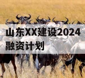 山东XX建设2024融资计划