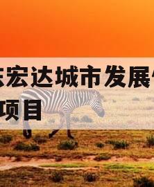 山东宏达城市发展债权1期项目