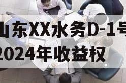 山东XX水务D-1号2024年收益权