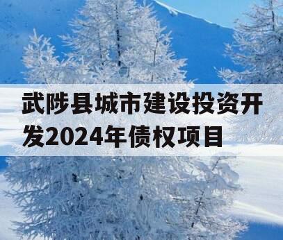 武陟县城市建设投资开发2024年债权项目