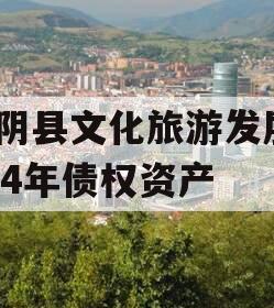 汤阴县文化旅游发展2024年债权资产