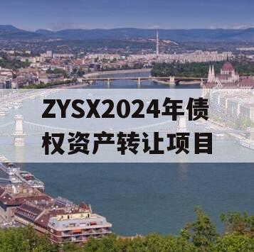 ZYSX2024年债权资产转让项目
