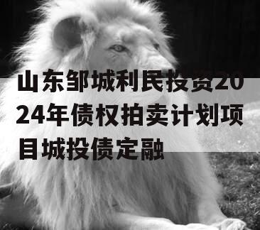 山东邹城利民投资2024年债权拍卖计划项目城投债定融