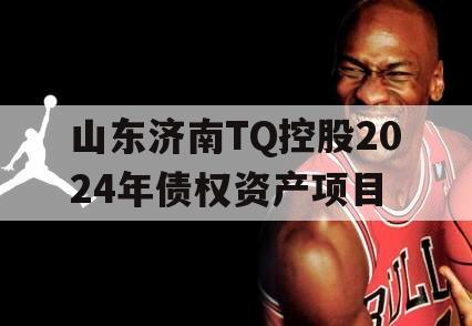 山东济南TQ控股2024年债权资产项目