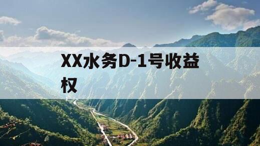 XX水务D-1号收益权