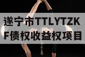 遂宁市TTLYTZKF债权收益权项目