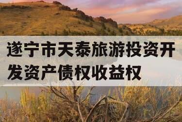 遂宁市天泰旅游投资开发资产债权收益权
