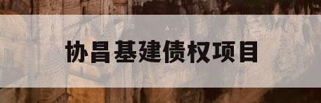 协昌基建债权项目