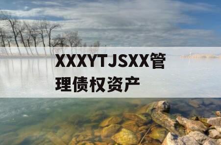 XXXYTJSXX管理债权资产