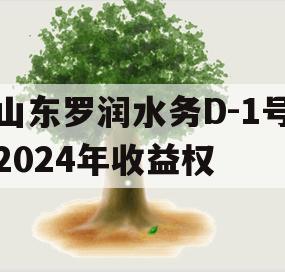 山东罗润水务D-1号2024年收益权