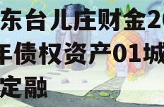 山东台儿庄财金2024年债权资产01城投债定融