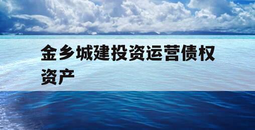 金乡城建投资运营债权资产