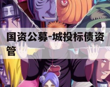 国资公募-城投标债资管