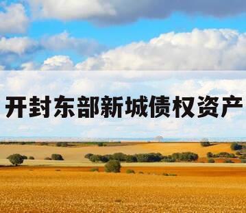 开封东部新城债权资产