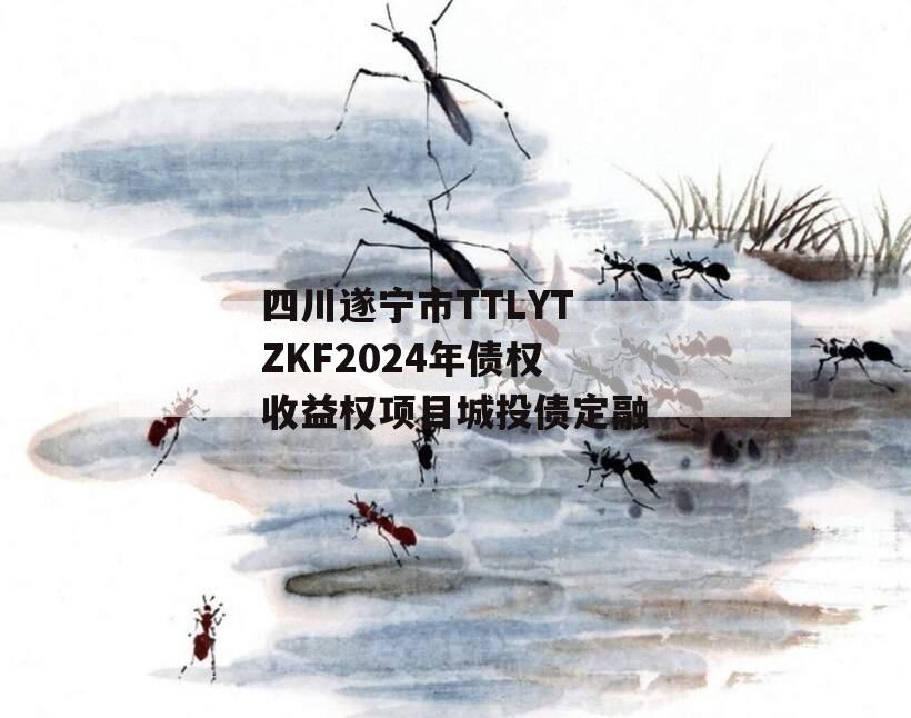 四川遂宁市TTLYTZKF2024年债权收益权项目城投债定融