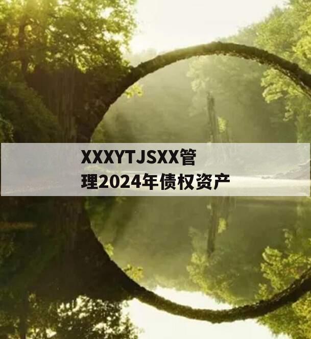 XXXYTJSXX管理2024年债权资产