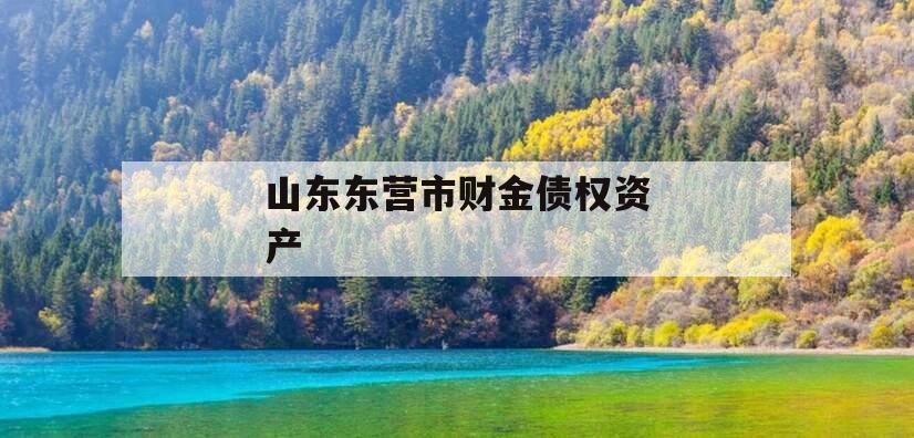 山东东营市财金债权资产