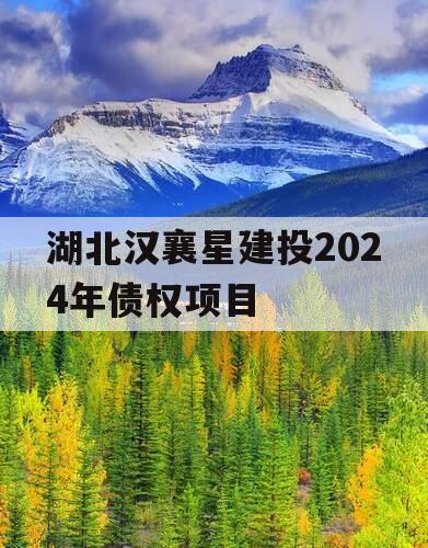 湖北汉襄星建投2024年债权项目