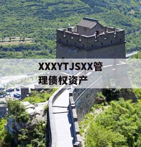 XXXYTJSXX管理债权资产