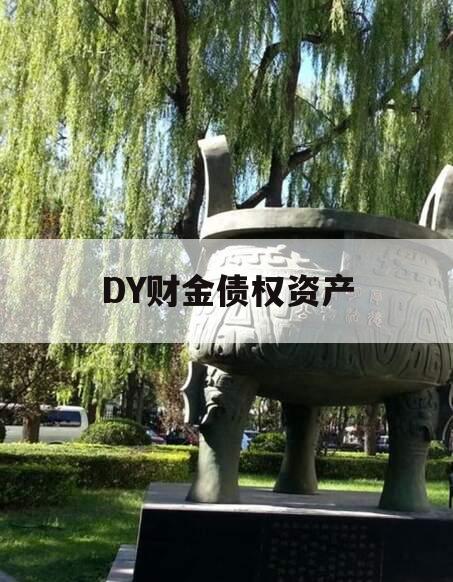 DY财金债权资产