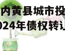 河南内黄县城市投资开发2024年债权转让项目
