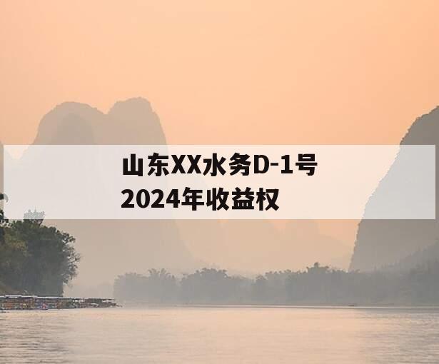 山东XX水务D-1号2024年收益权
