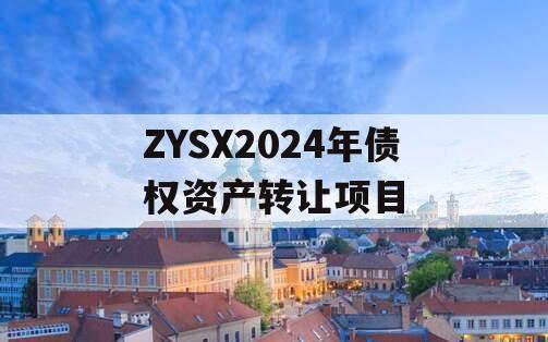 ZYSX2024年债权资产转让项目