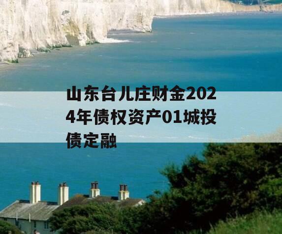 山东台儿庄财金2024年债权资产01城投债定融