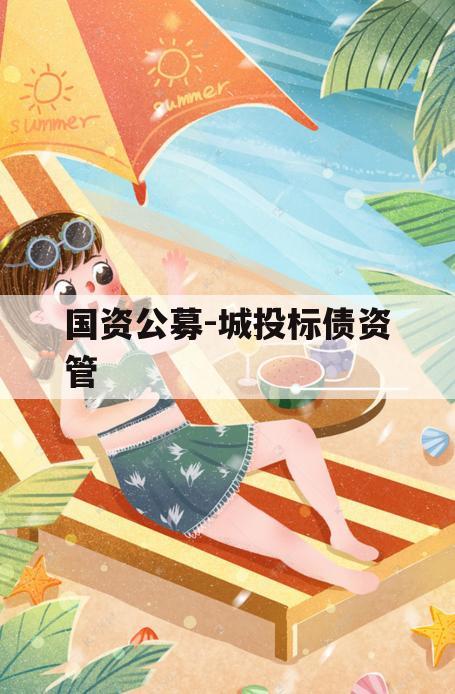 国资公募-城投标债资管