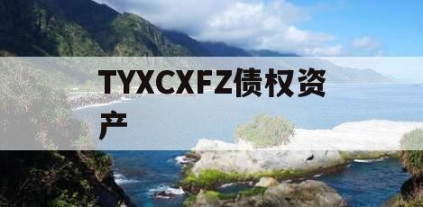 TYXCXFZ债权资产