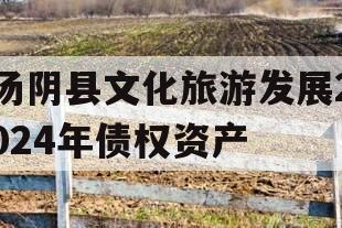 汤阴县文化旅游发展2024年债权资产