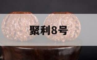 聚利8号