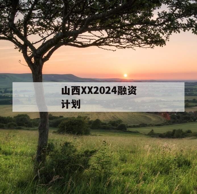 山西XX2024融资计划