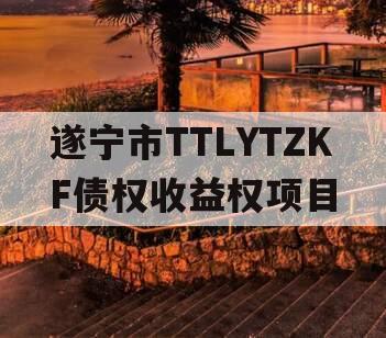 遂宁市TTLYTZKF债权收益权项目