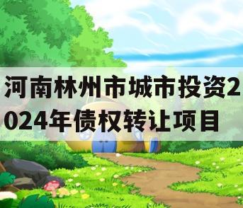 河南林州市城市投资2024年债权转让项目